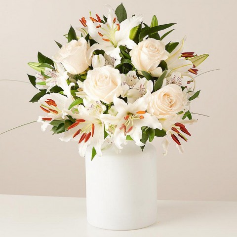 Envio y venta de flores ,rosas, plantas,arreglos florales ,regalos y desayunos a domicilio con delivery gratis en la Ciudad Autonoma de Buenos Aires y con costo de env�o en localidades del Gran Buenos Aires asi como delivery de flores y plantas a trav�s de florerias asociadas en todas las provincias de la Argentina, Buenos Aires, la Pampa, Tucuman, La Rioja, R�o Negro, Entre Rios, Corrientes, Misiones, Neuquen, Chubut, Tierra del Fuego, Santa Cruz, San Luis, Mendoza, Cordoba, Jujuy, Formosa, Santiago del Estero, Salta, Chaco, Catamarca ,San Juan, y ademas realizamos el delivery de flores ,coronas,palmas , plantas y regalos a todas las ciudades de Argentina, Mar del Plata, C�rdoba, Buenos Aires, con cargo en Santa Rosa, La Plata, Bella Vista, Neuquen, Pilar, Paran�, Posadas, Resistencia, Cipolleti y mas de 300 ciudades y localidades en todo el territorio de nuestro pa�s, asi como tambien tenemos la posibilidad de enviar flores a casi todo el mundo en cuestion de horas